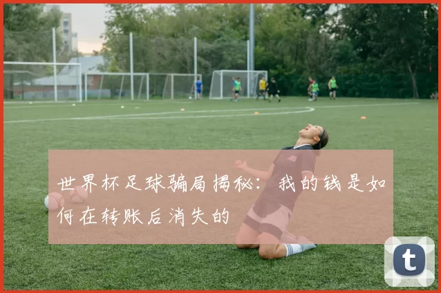 世界杯足球骗局揭秘：我的钱是如何在转账后消失的