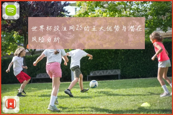 世界杯投注网25的五大优势与潜在风险分析