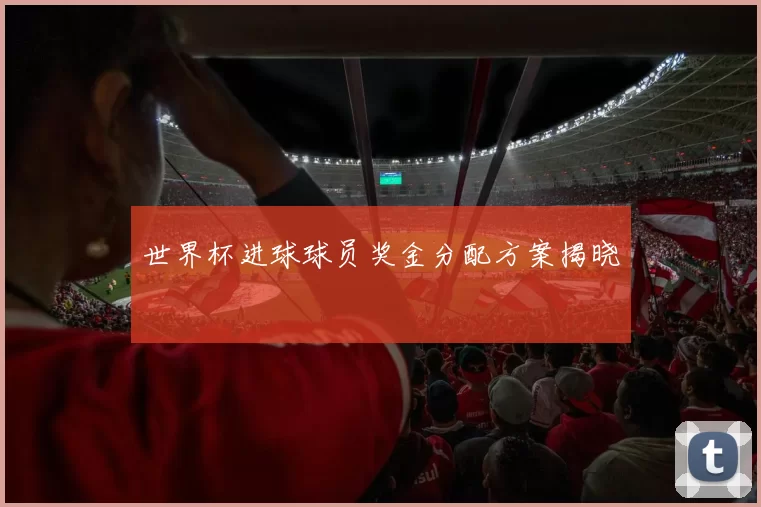 世界杯进球球员奖金分配方案揭晓