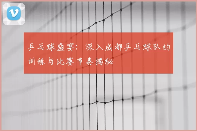 乒乓球盛宴：深入成都乒乓球队的训练与比赛节奏揭秘