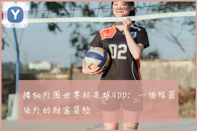揭秘外围世界杯足球app:一场绿茵场外的财富冒险
