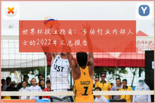 世界杯投注指南：专访行业内部人士的2022年汇总报告