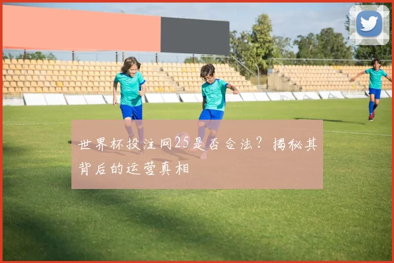 世界杯投注网25是否合法？揭秘其背后的运营真相