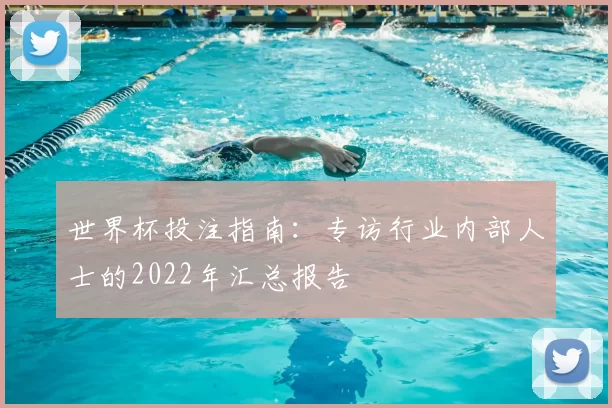 世界杯投注指南：专访行业内部人士的2022年汇总报告