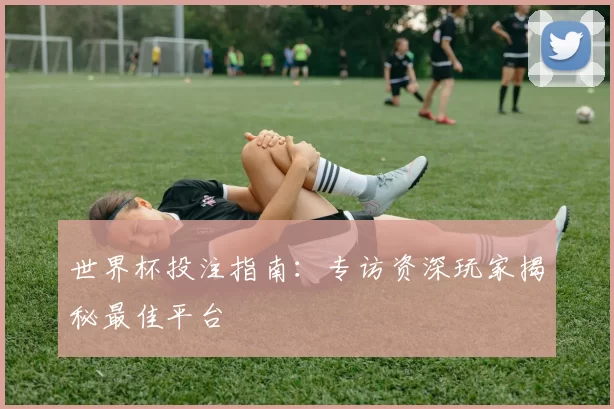 世界杯投注指南:专访资深玩家揭秘最佳平台