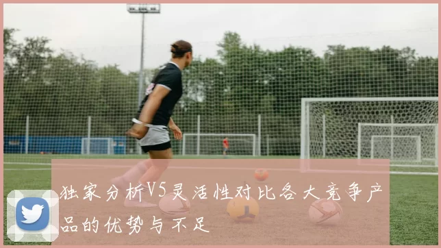 独家分析V5灵活性对比各大竞争产品的优势与不足