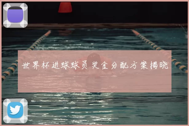 世界杯进球球员奖金分配方案揭晓