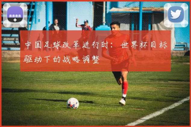 中国足球改革进行时：世界杯目标驱动下的战略调整