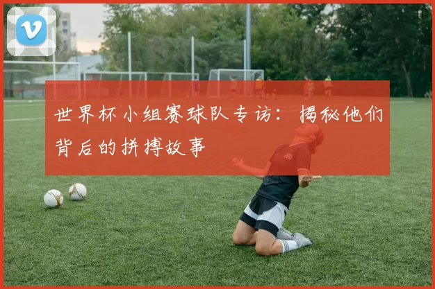 世界杯小组赛球队专访：揭秘他们背后的拼搏故事