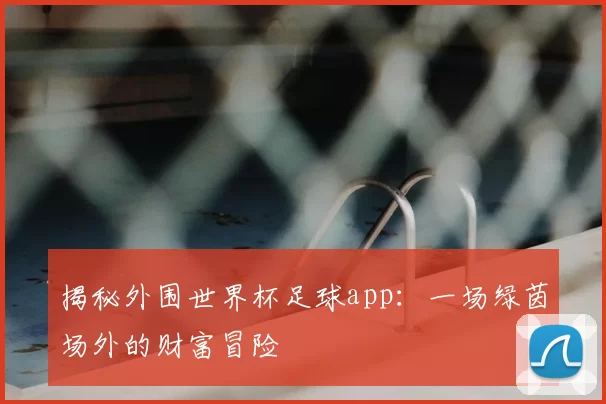 揭秘外围世界杯足球app:一场绿茵场外的财富冒险